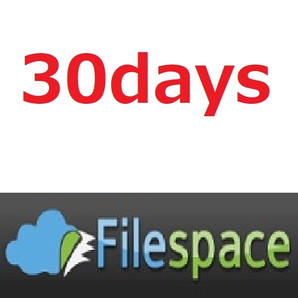 Filespace 30days Premium
