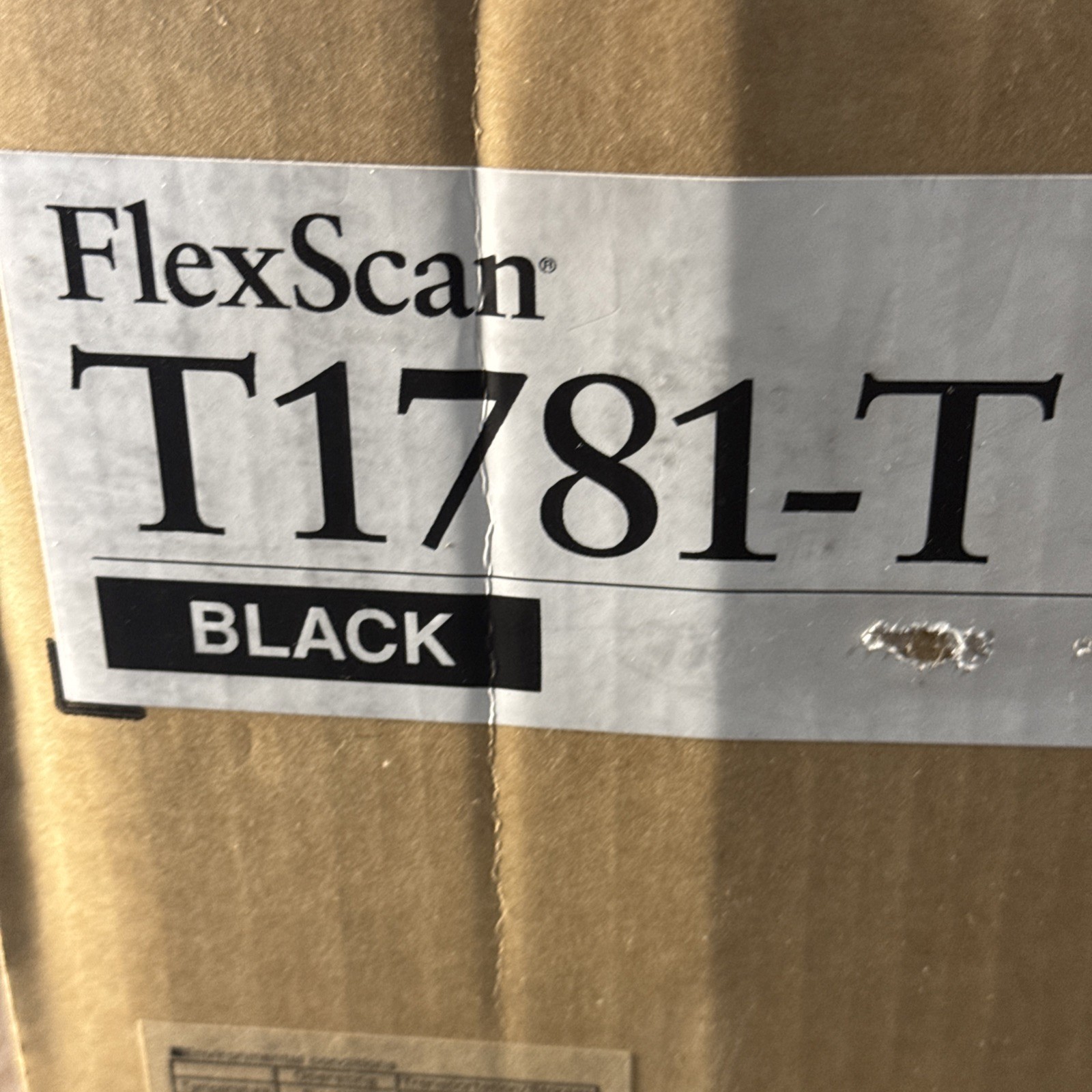 EIZO FlexScan T1781 -T 17-inch Projected Capacitive