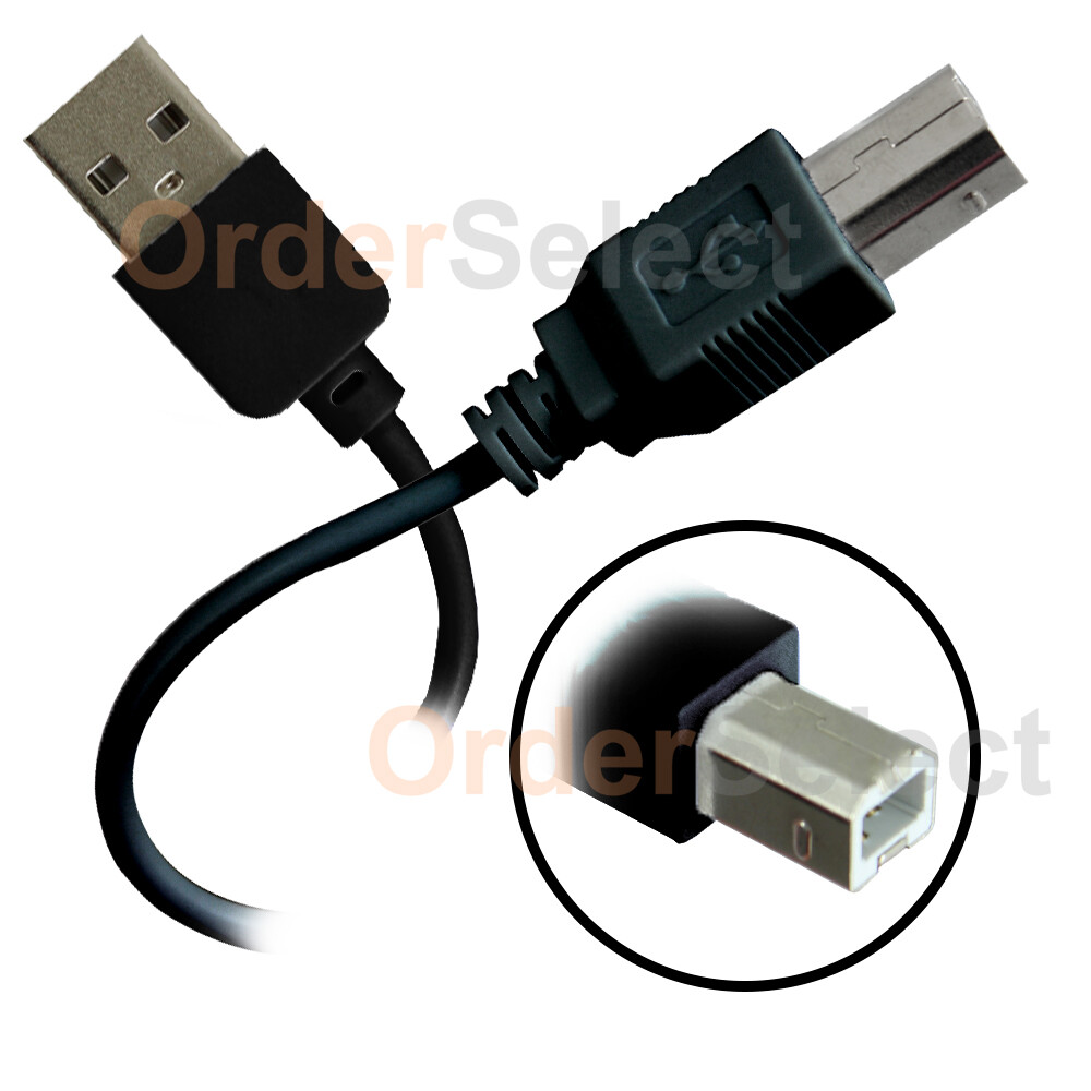 1-100 LOT USB 2.0 A TO B HIGH SPEED PRINTER SCANNER PREMIUM CABLE CORD HOT B