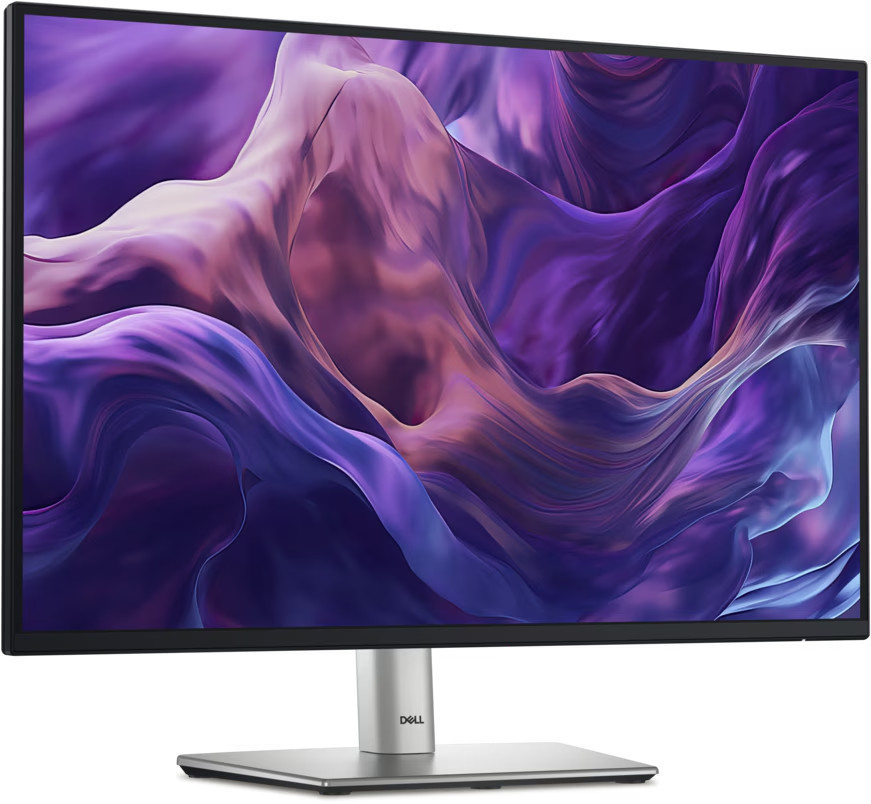 Dell 24 Pro Monitor (P2425). 24-inch
