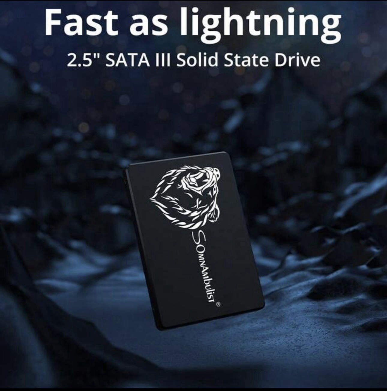 SomnAmbulist 2.5″ SATA III Internal SSD H653, 550MB/s Read, 450MB/s 256GB