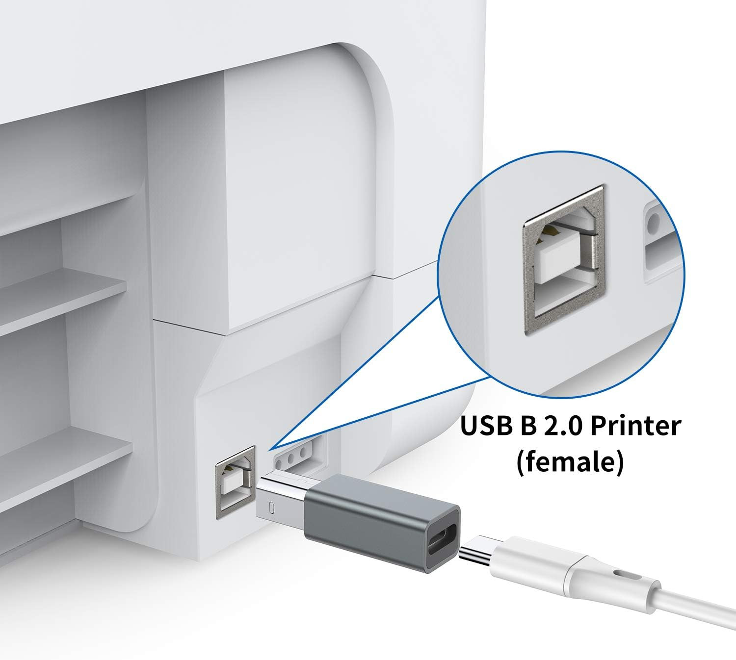 USB C Female to Printer Male Adapter (2-Pack), USB Type C to USB B Convert