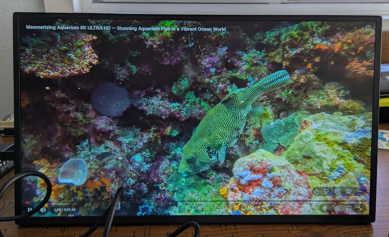 Lumipix 24.5″ 2K Computer Monitor 165Hz Gaming Portable Monitor Freestanding