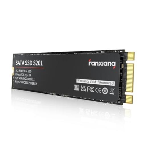 S201 SSD 2280 SATA III 6Gb/s Internal Solid State Drive, SLC 128GB M.2 SATA