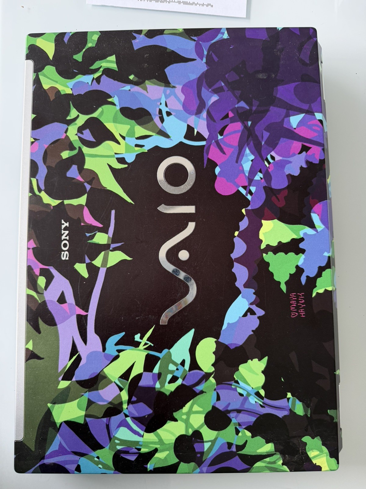 Maya Hayuk Sony VAIO laptop