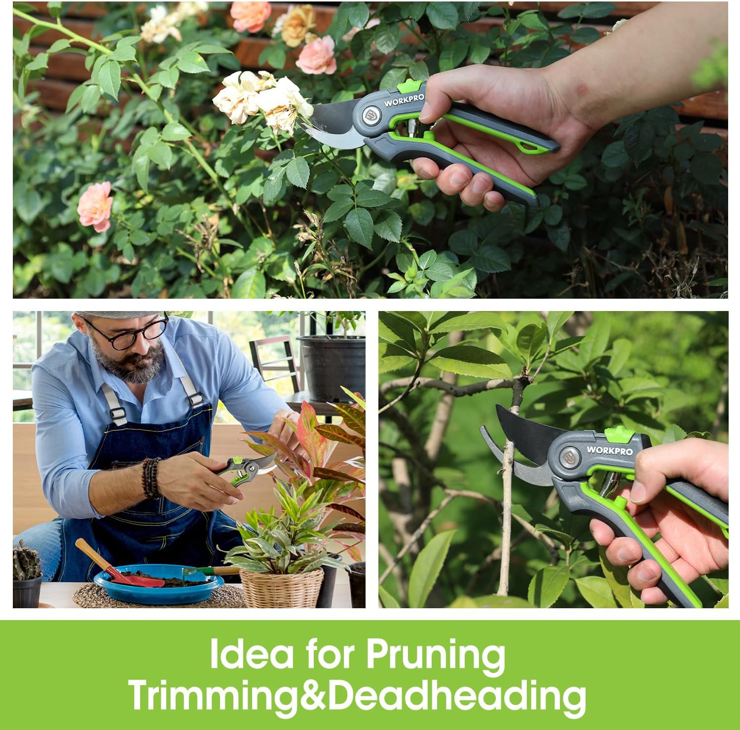 Bypass Pruning Shears, 8’’ Stainless Steel Gardening Hand Pruner, Professional G