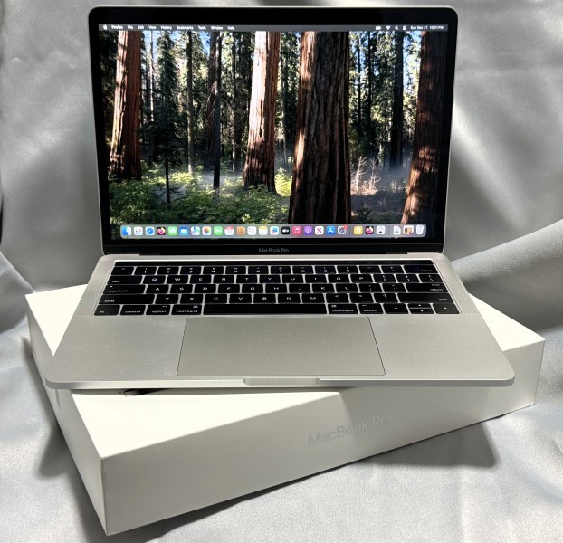 Apple MacBook Pro 13.3 in Intel i5 2.90 GHz, 256 GB 8 GB (A1706) 4 Thunderbolt