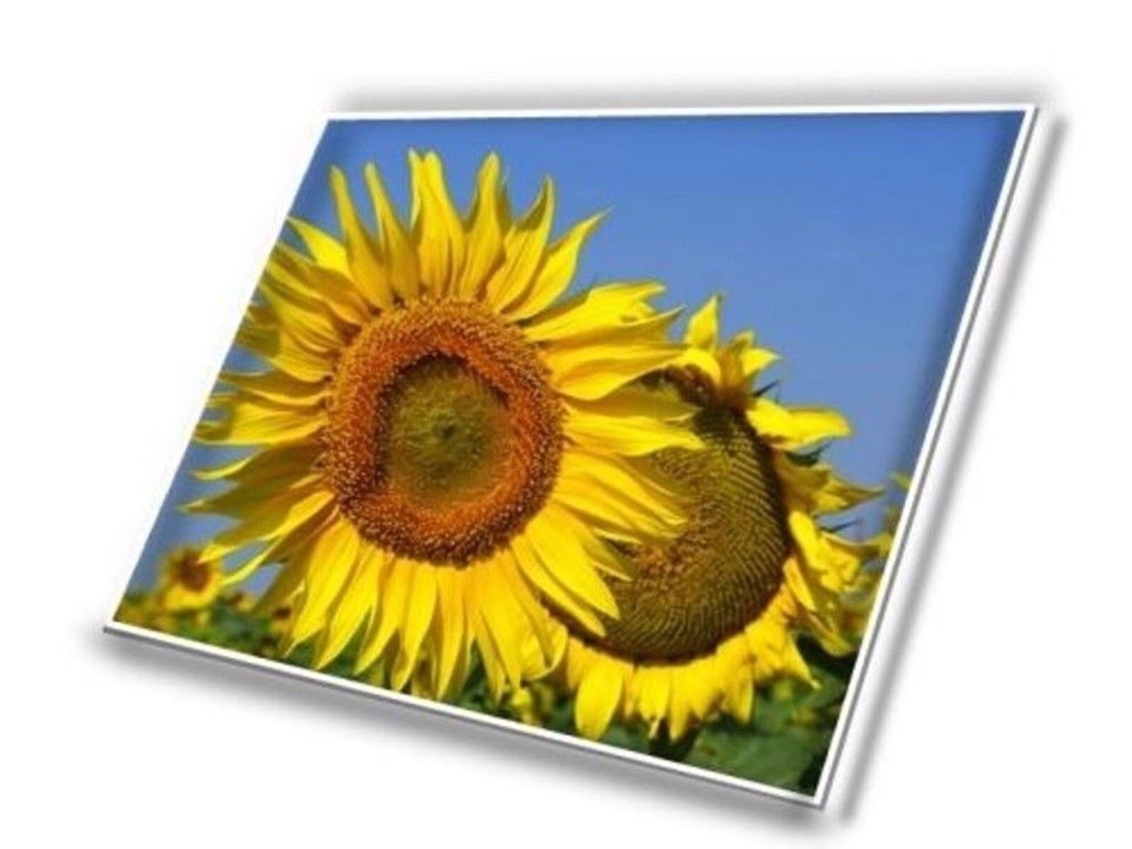 N62814-001 SPS-RAW PANEL 16″ WQXGA AG 400 LCD LED Screen Panel New
