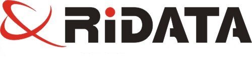 100 RITEK RIDATA 52X Blank CD-R CDR Branded Logo 700MB Recordable Media Disc