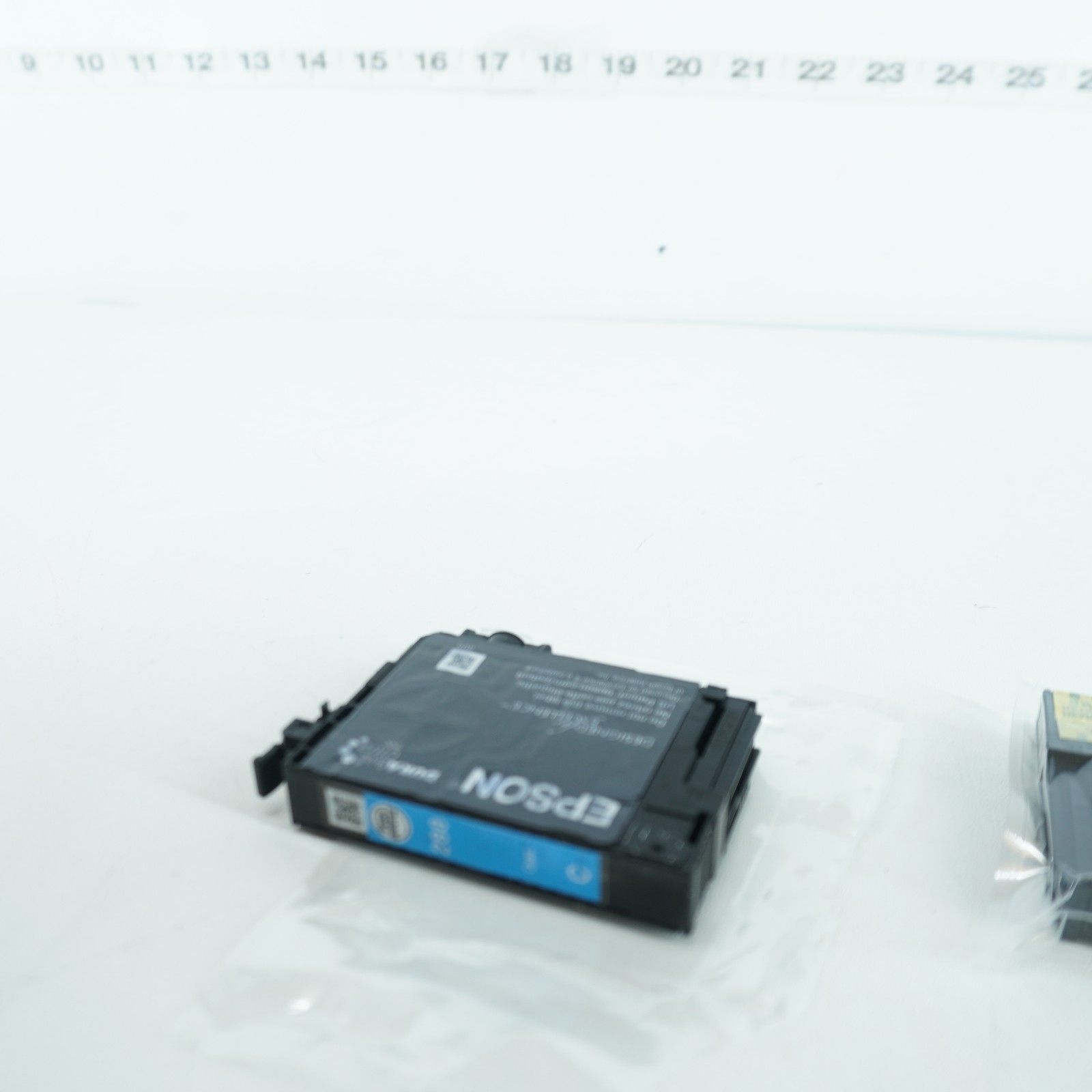 EPSON 288 DURABRITE ULTRA INK STANDARD CAPACITY BLACK DUAL CARTRIDGE EXP.11/2024