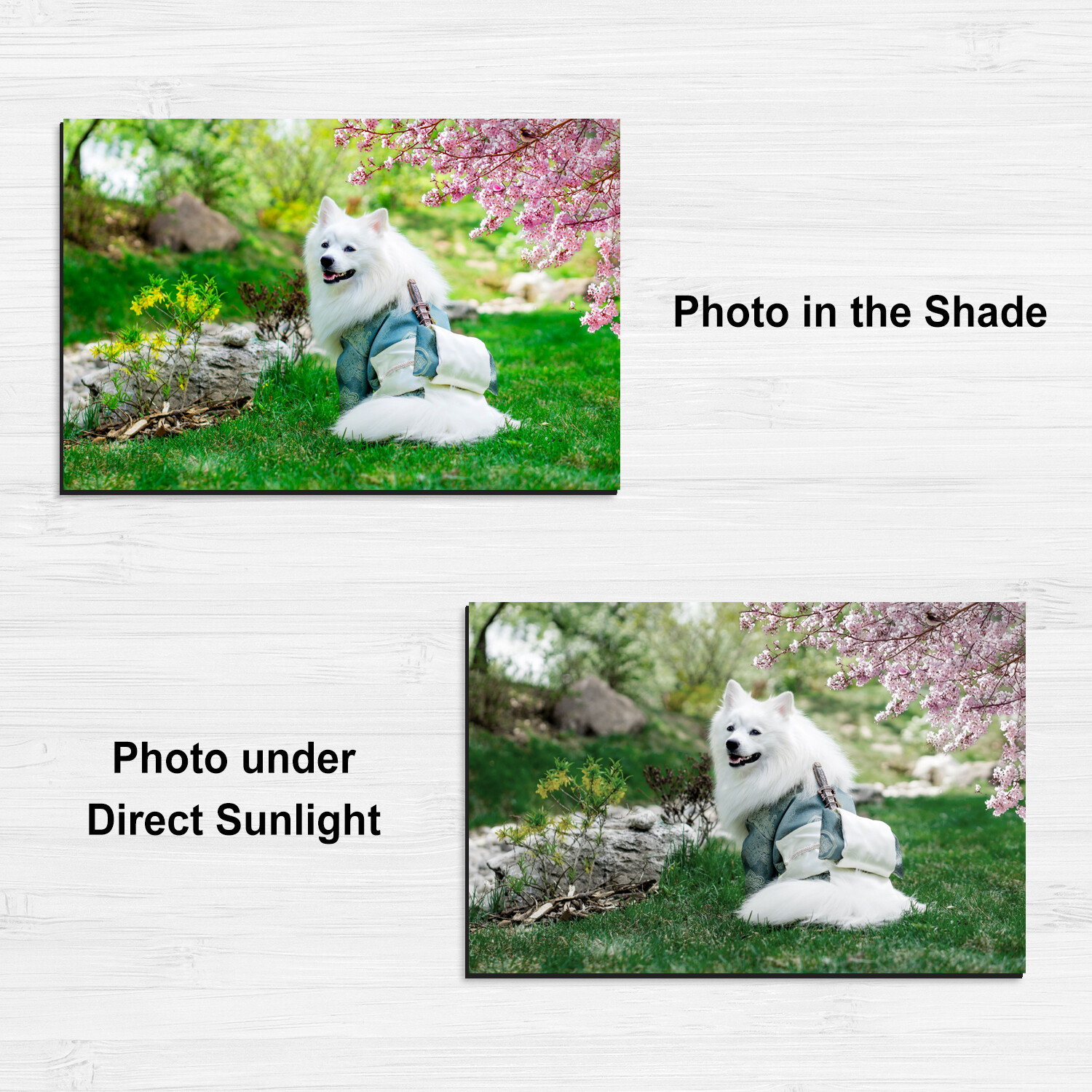 50 Sheets Printable Magnet Paper Magnetic Photo Paper 8.5×11 Matte Inkjet Laser