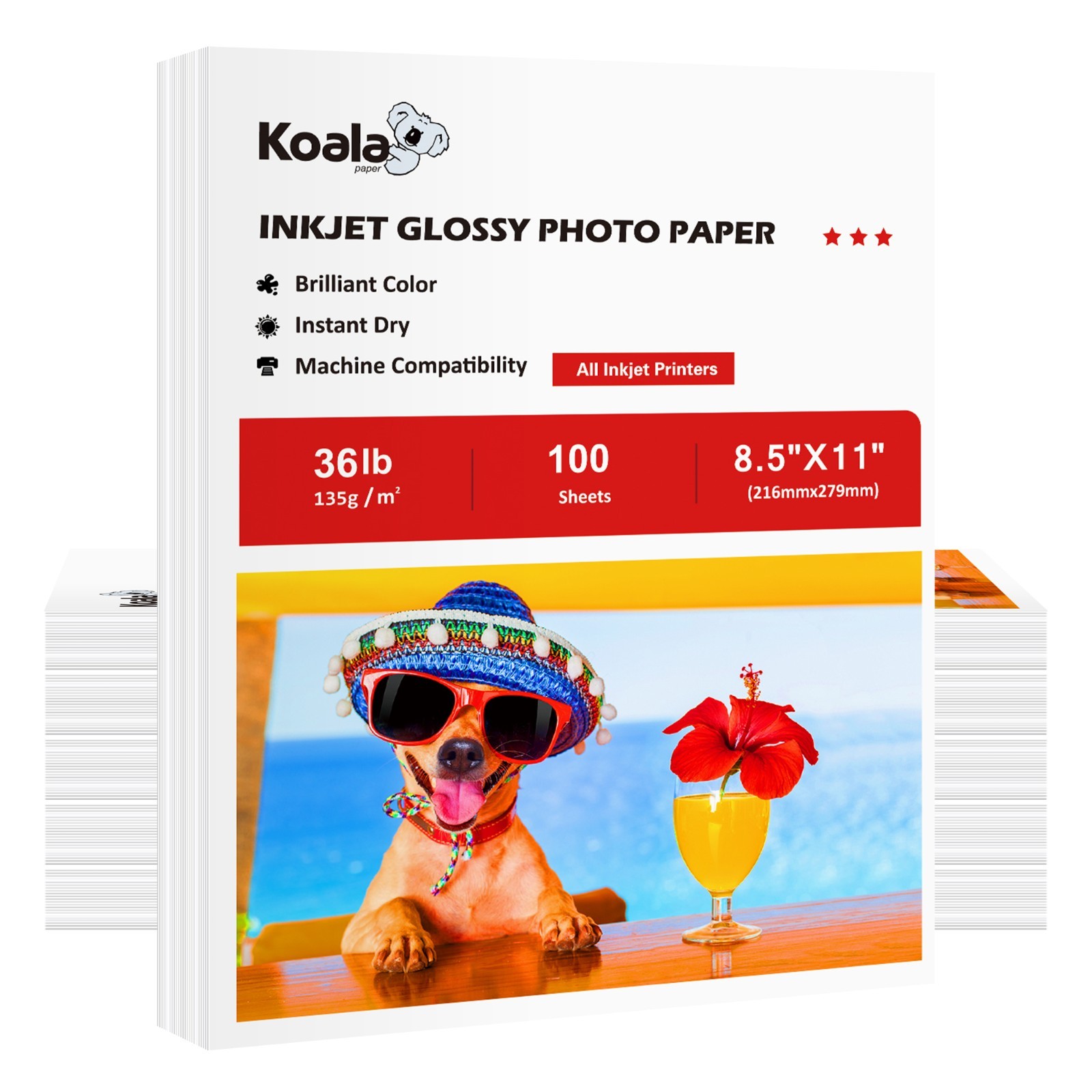 1000 Sheet Koala 36lb Glossy Photo Paper 8.5×11 135g Inkjet Printer DIY Brochure