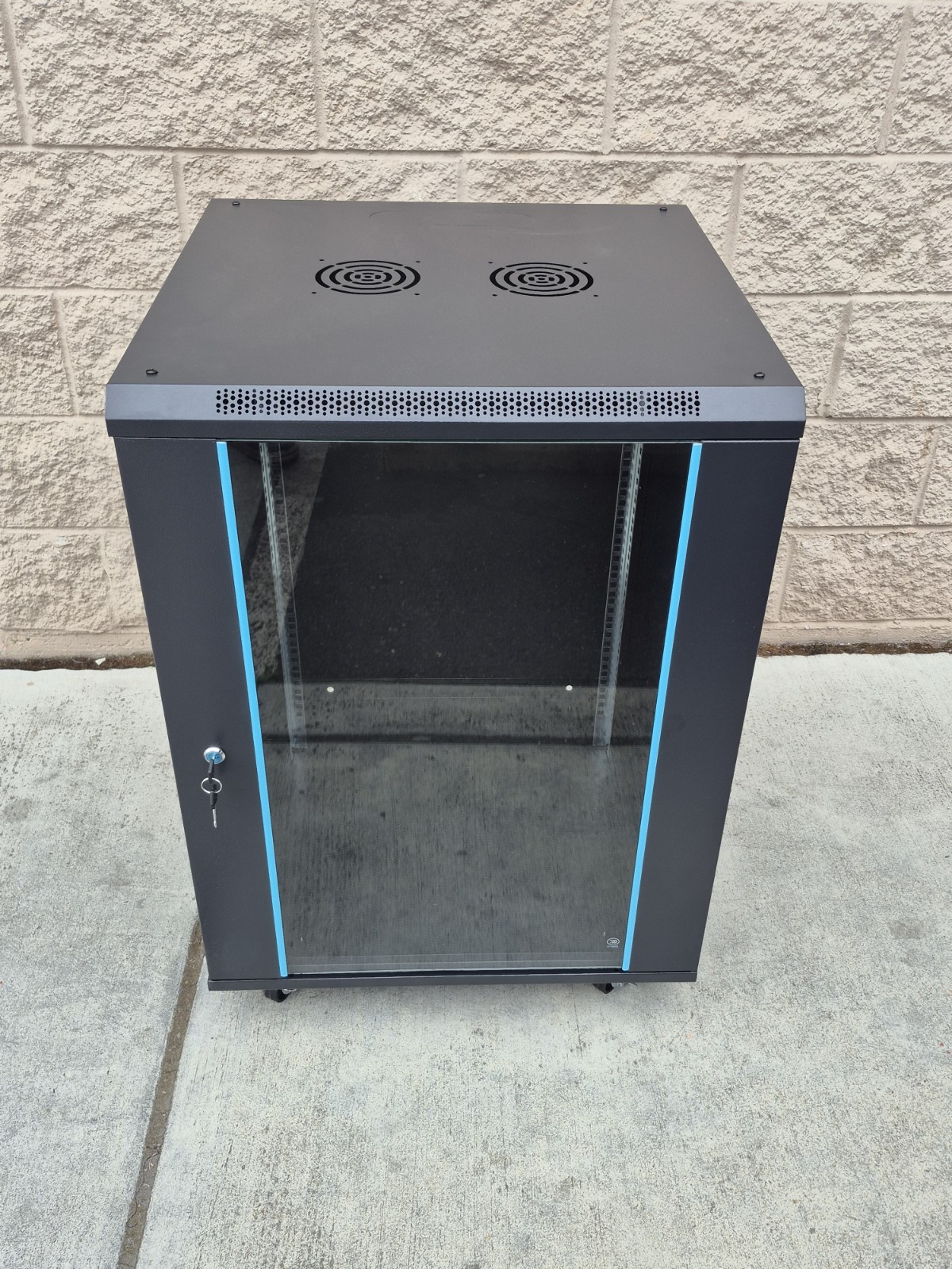 15U 19″ 24″ Deep Server/Networking Wall Mount Cabinet W/Shelf And Casters
