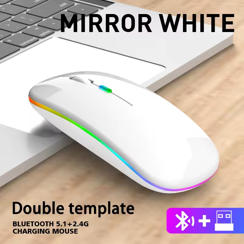 Rechargeable Wireless Mouse Bluetooth 2.4G RGB Silent Ergonomic for PC