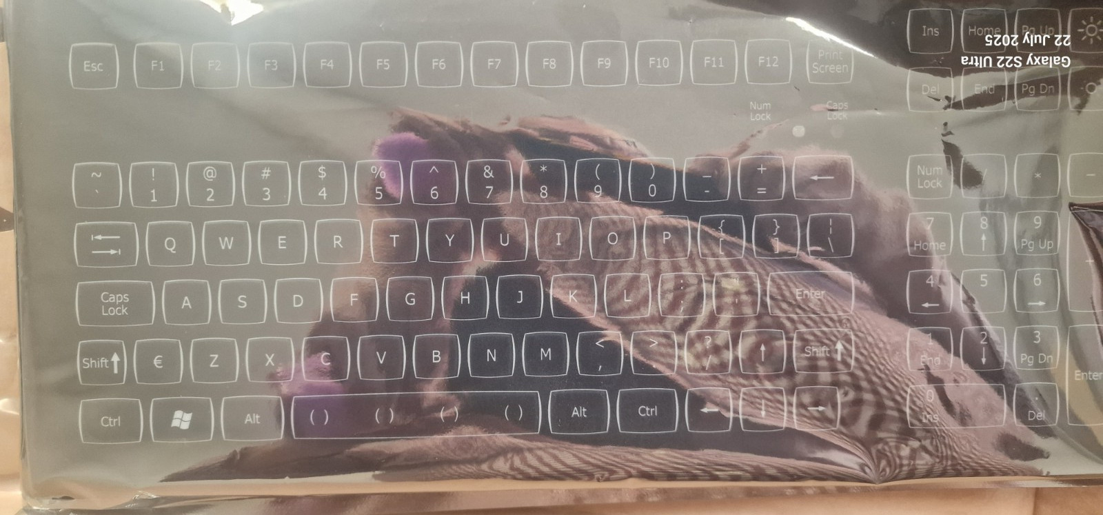 NSI KSM103B1USB-WLED Compact LED Panel Mount backlit keyboard