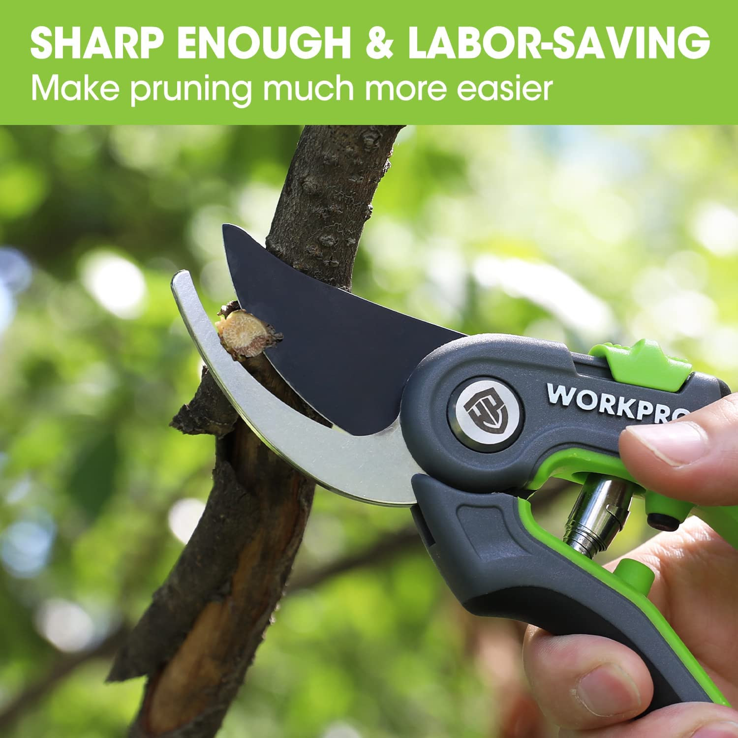 Bypass Pruning Shears, 8’’ Stainless Steel Gardening Hand Pruner, Professional G