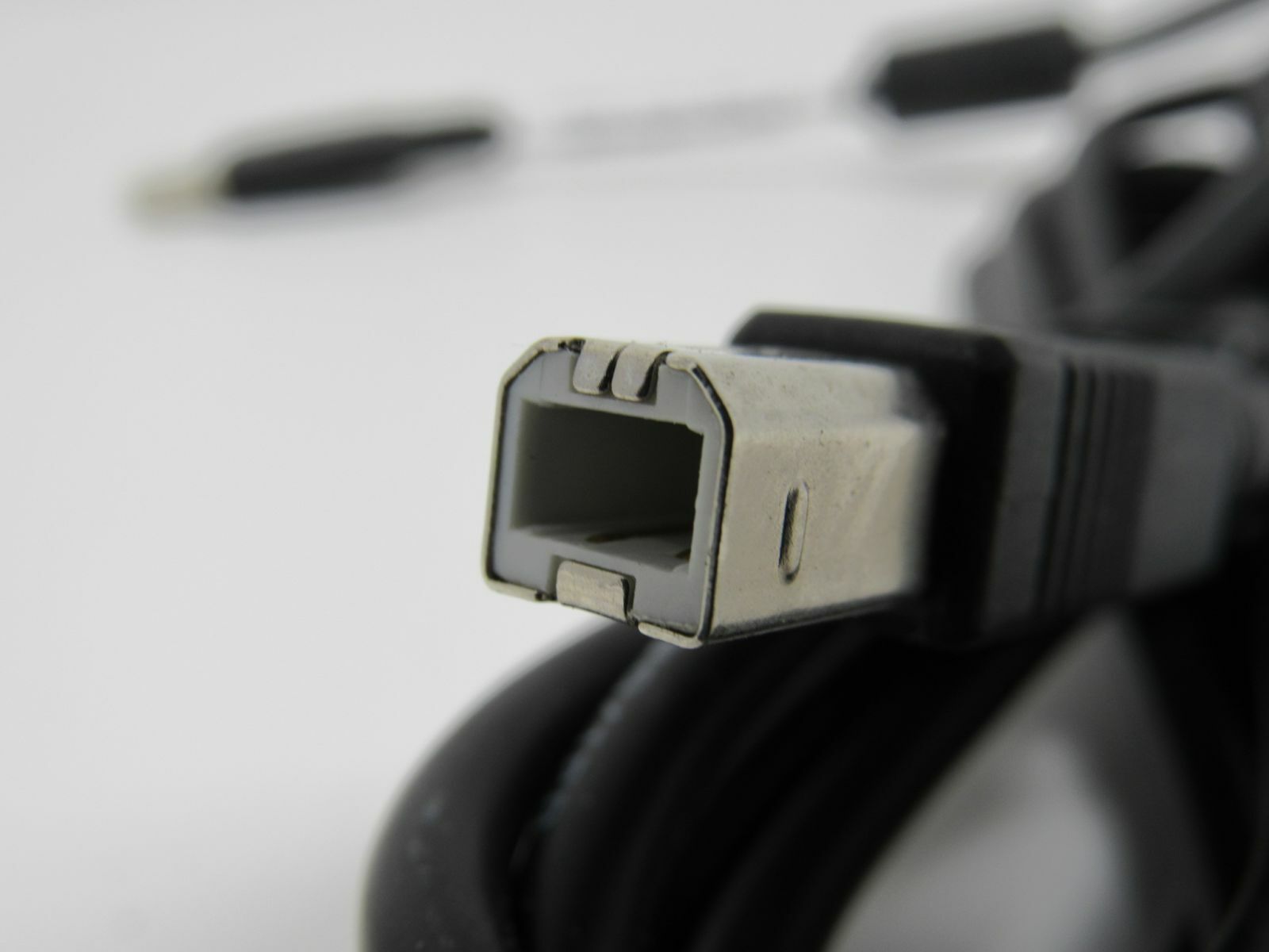 Standard USB A Plug to USB B Plug Cable 5.5 ft Male