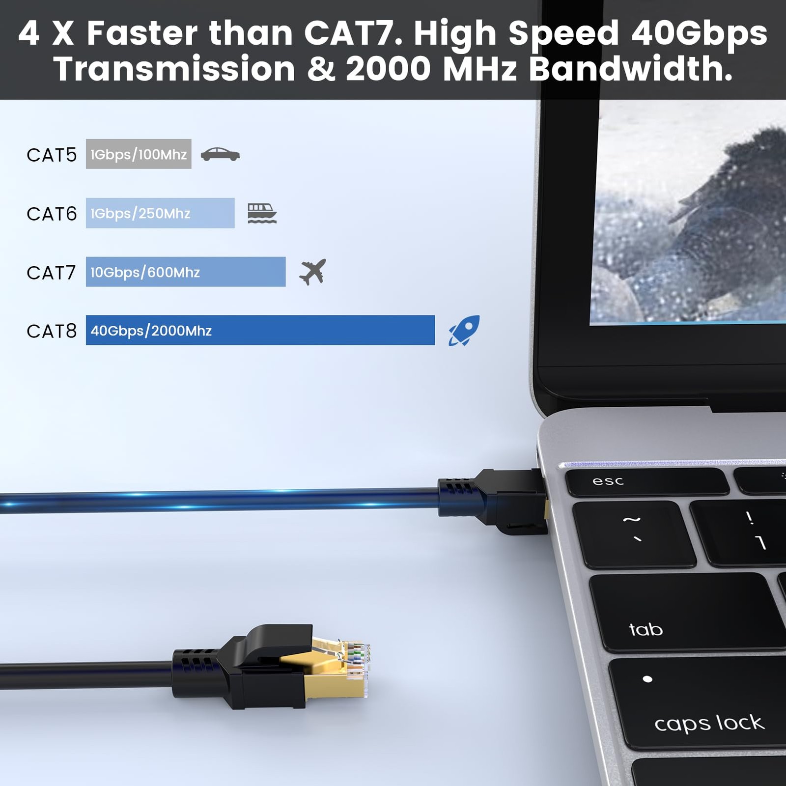 Cat 8 Ethernet Cable 6 FT High Speed LAN Internet Network Router Patch Cord