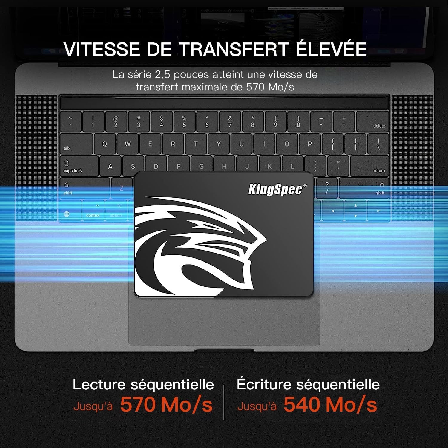1TB 2.5-Inch Internal SSD – Enhanced Performance with 560MB/s Data Transfer Rate