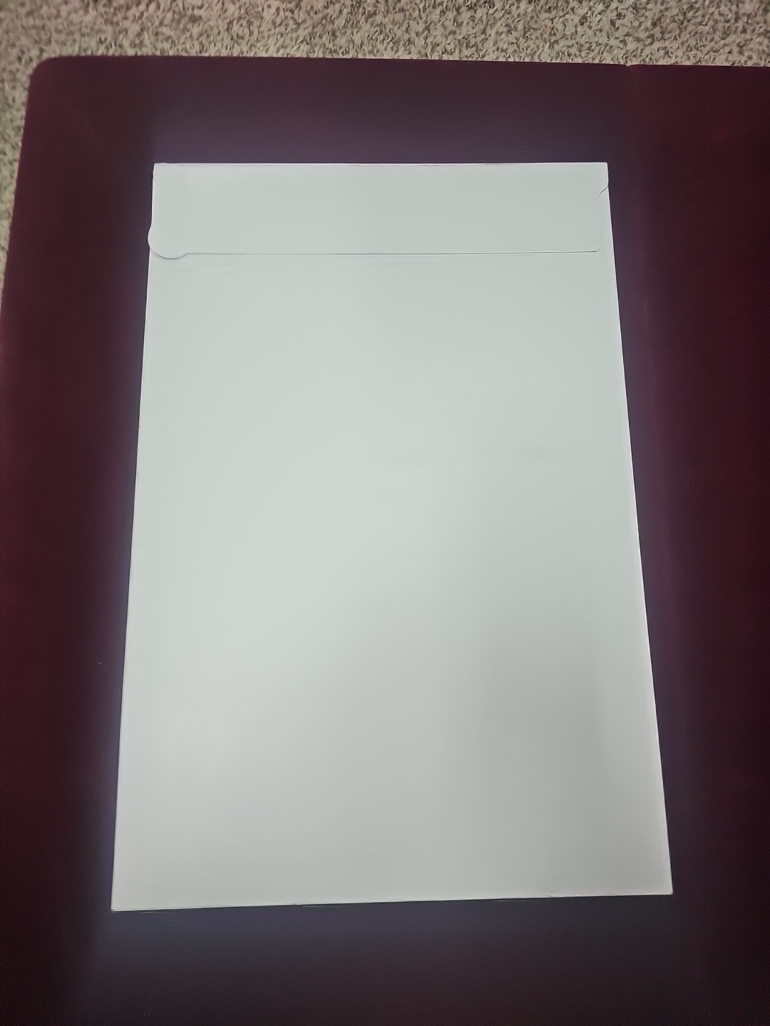 Staples Privacy Filter for 22 Inch Computer Monitor 11.7 In X 19.7 In. Open Box
