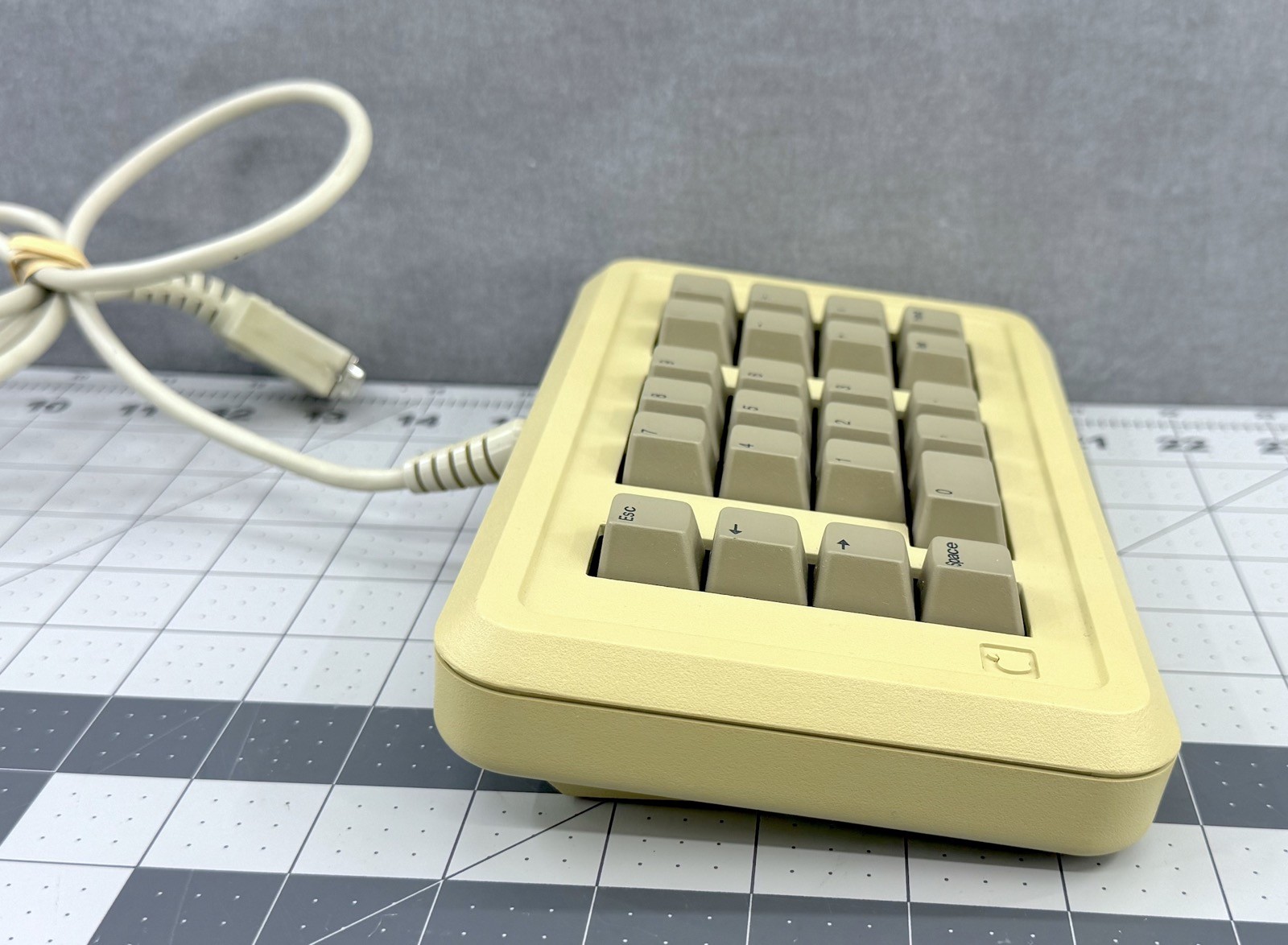 Apple Numeric Keypad IIe with Motherboard Cable A2M2003 – Tested & Working