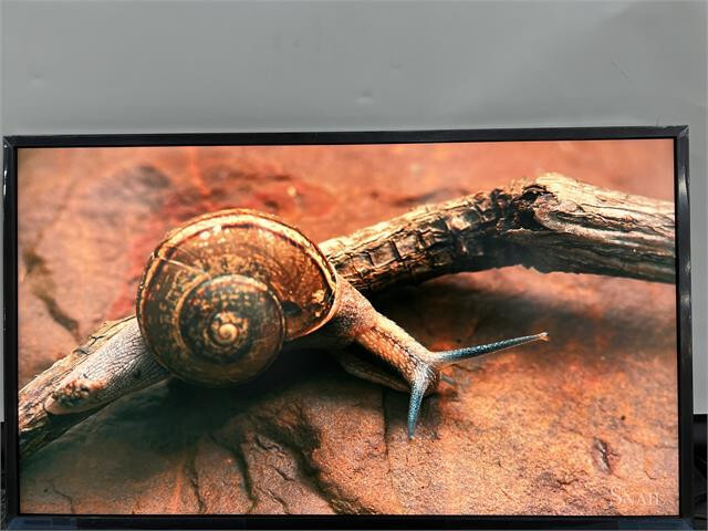 SEE PICS! Sony 32-in 4K UHD Commercial Digital Display Android Monitor FW32BZ30J