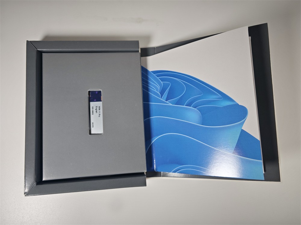 Sealed Microsoft Windows 11 Pro USB Flash Drive Hardware OEM Software Retail Box