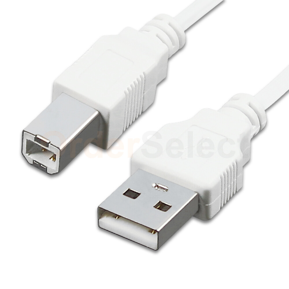 HIGH QUALITY 10 FT USB 2.0 A TO B WHITE CABLE STANDARD USB PRINTER CABLE 10 FT
