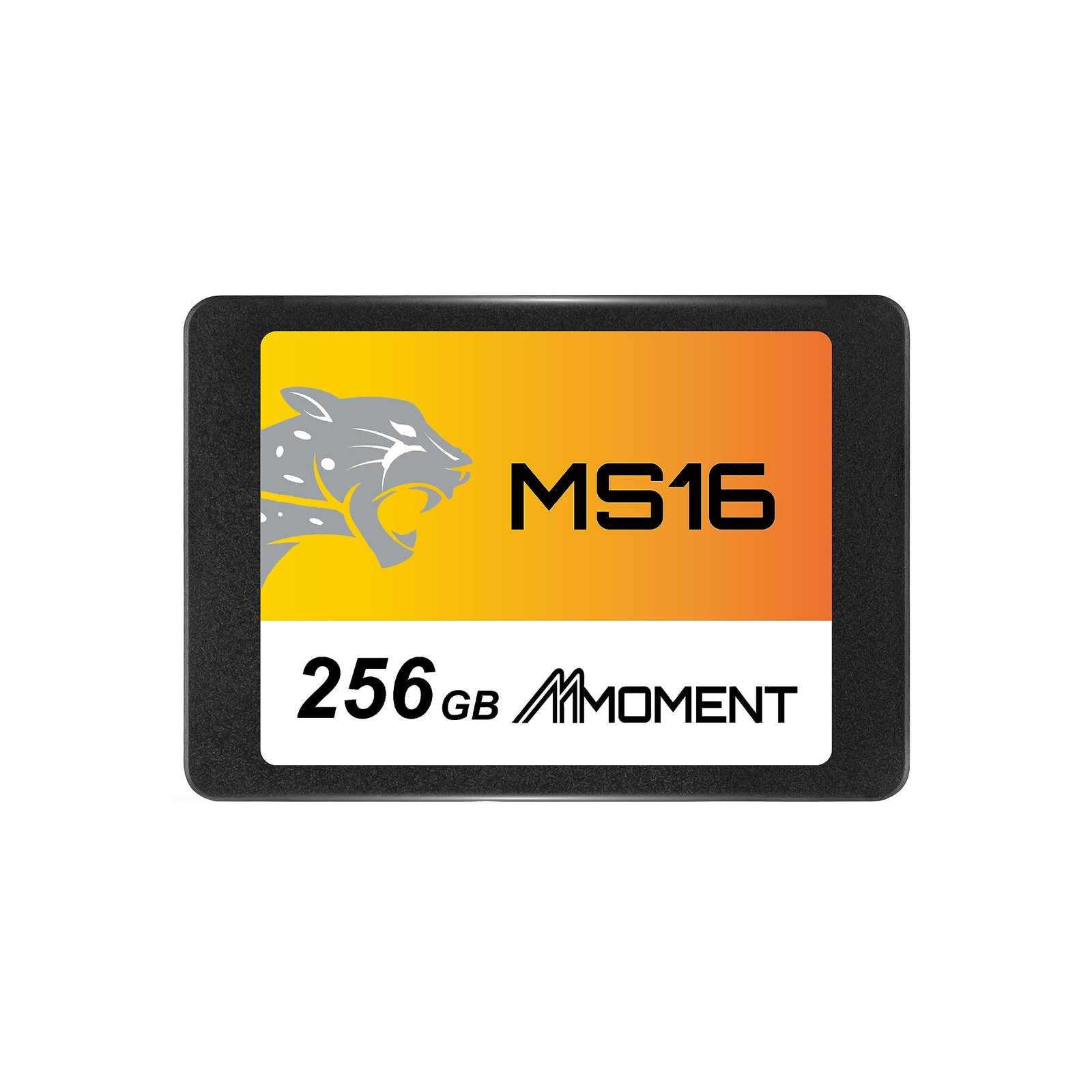 MS16 256GB 2.5 Inch SATA III 6 GB/s Internal Solid State Drive SSD (Read up to 5