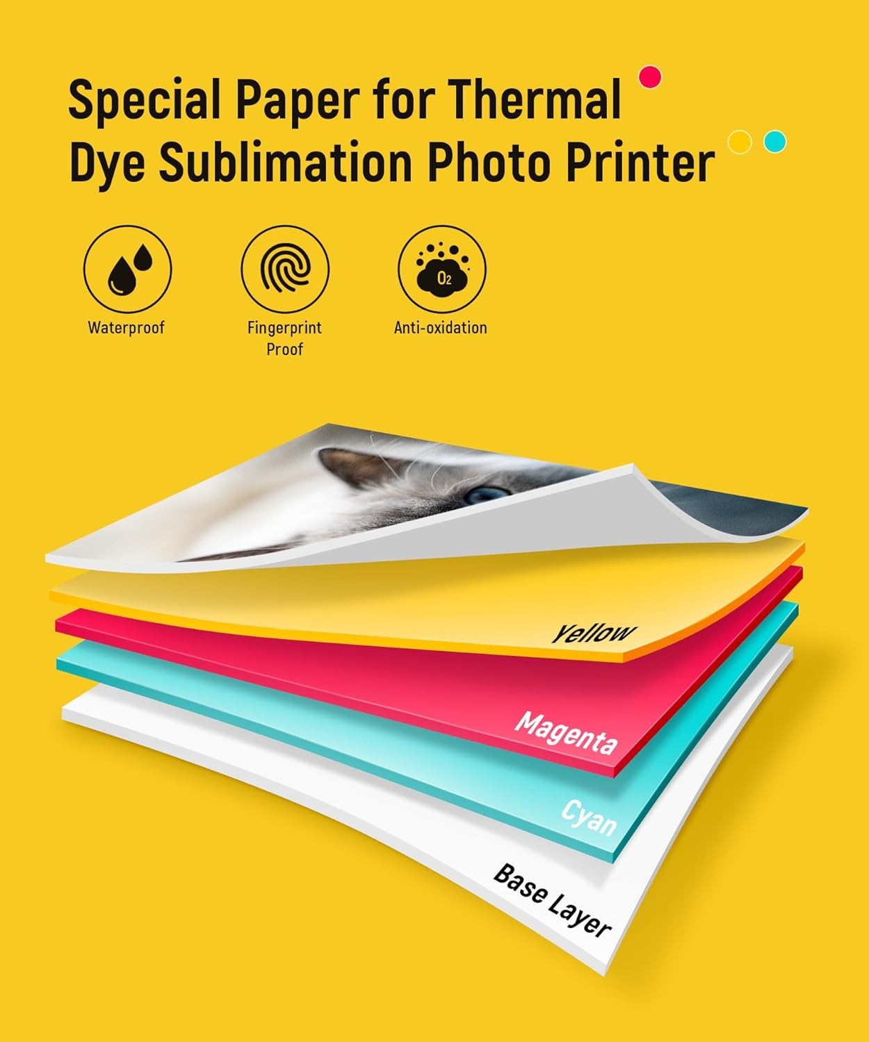 Compatible for Liene Amber M100/M200/M110/M210 4×6″ 80 Papers and 2 Ink Refills