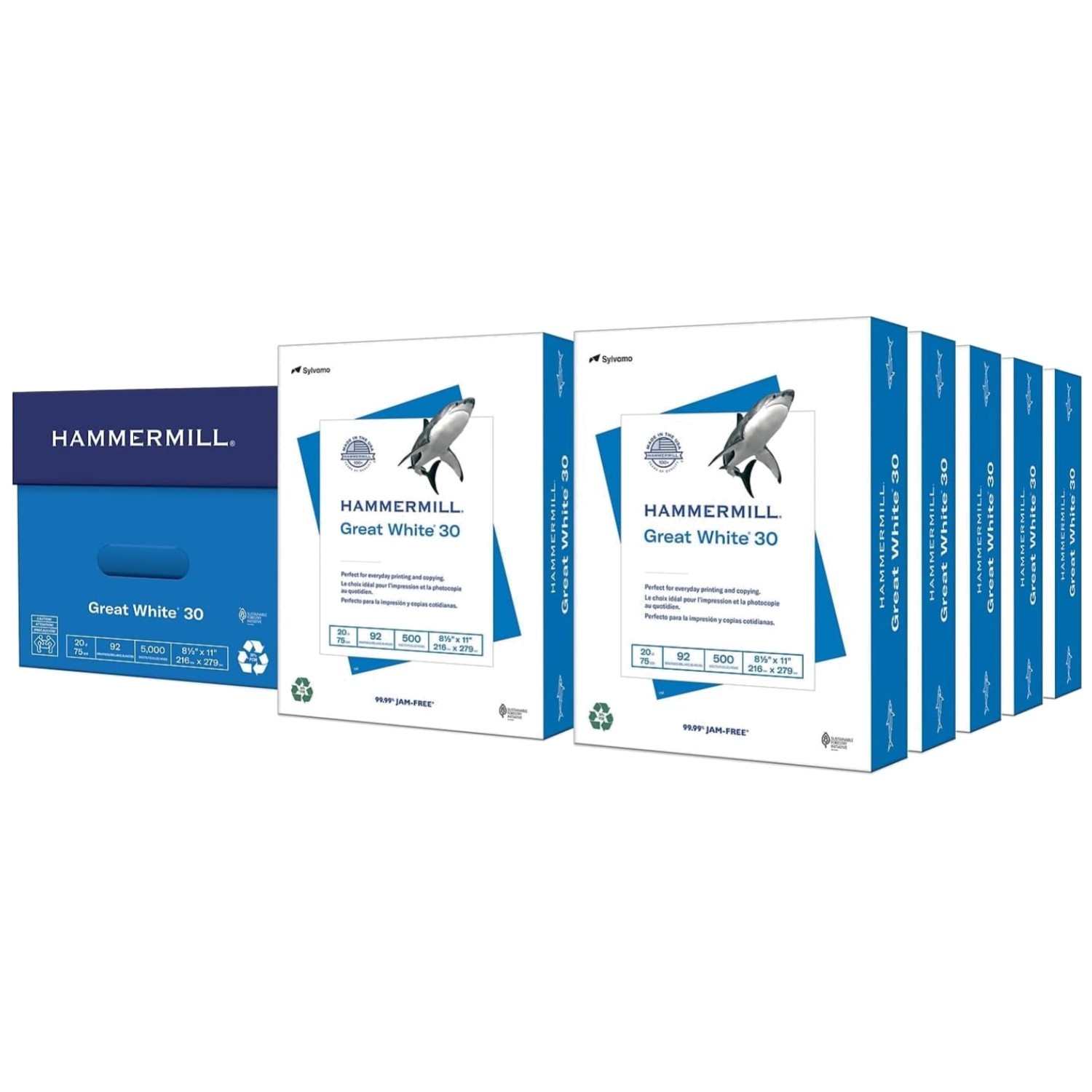 Great White 30% Recycled Printer Paper – 8.5 x 11 – 10 Ream