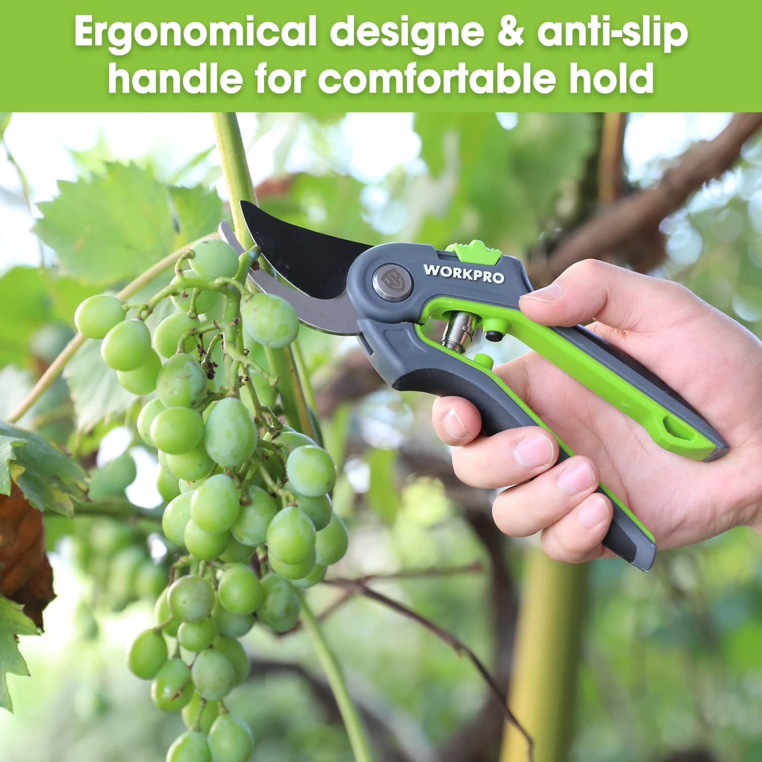 Bypass Pruning Shears, 8’’ Stainless Steel Gardening Hand Pruner, Professional G