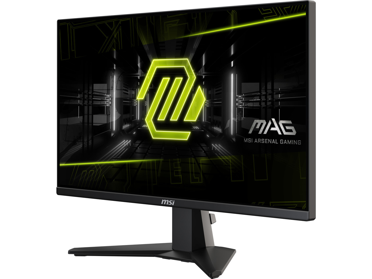 MSI MAG255XF 25″ FHD Gaming Monitor 300Hz Metallic Black