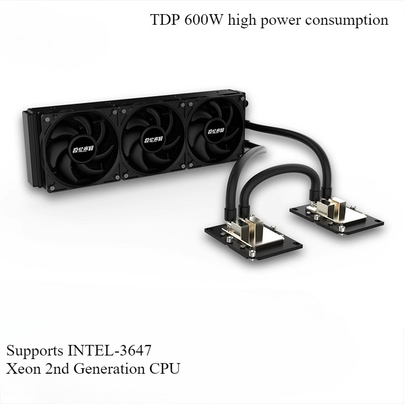 Server integrated dual-CPU water-cooling radiator