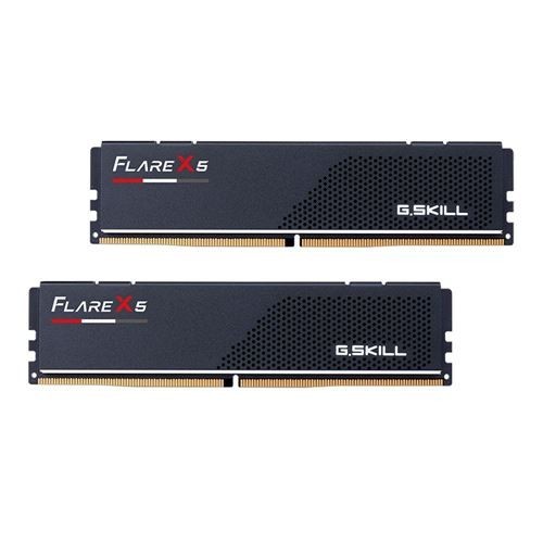 G. Skill Flare X5 Series 32GB (2 x 16GB) DDR5-6000 CL36 F5-6000J3