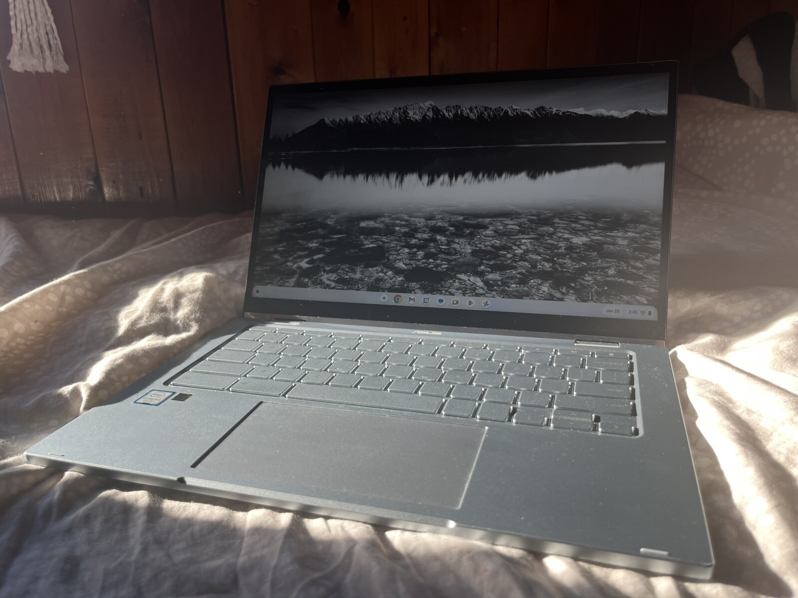 ASUS Chromebook Flip C433 14″ (64GB eMMC, Intel Core M3-8100Y, 1.10GHz, 8GB RAM)