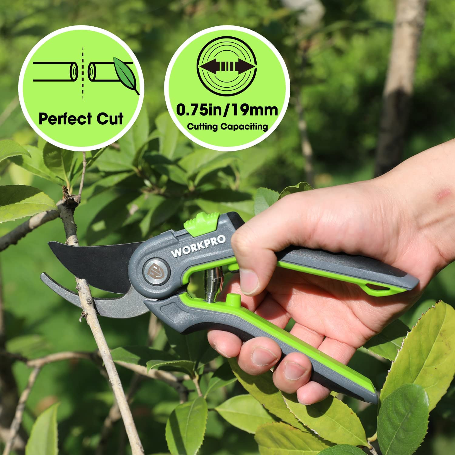 Bypass Pruning Shears, 8’’ Stainless Steel Gardening Hand Pruner, Professional G
