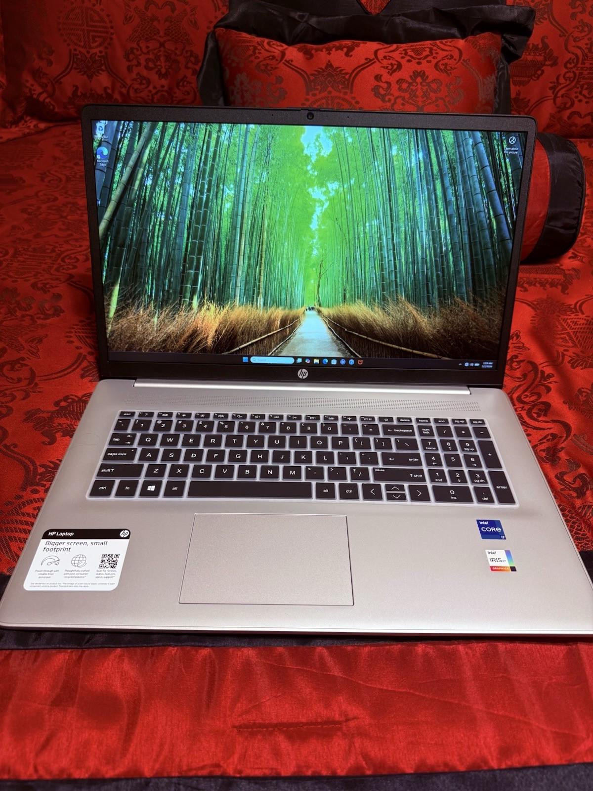 HP 17in Laptop Silver Intel Core i7 Intel Iris Xe Windows 11 1TB