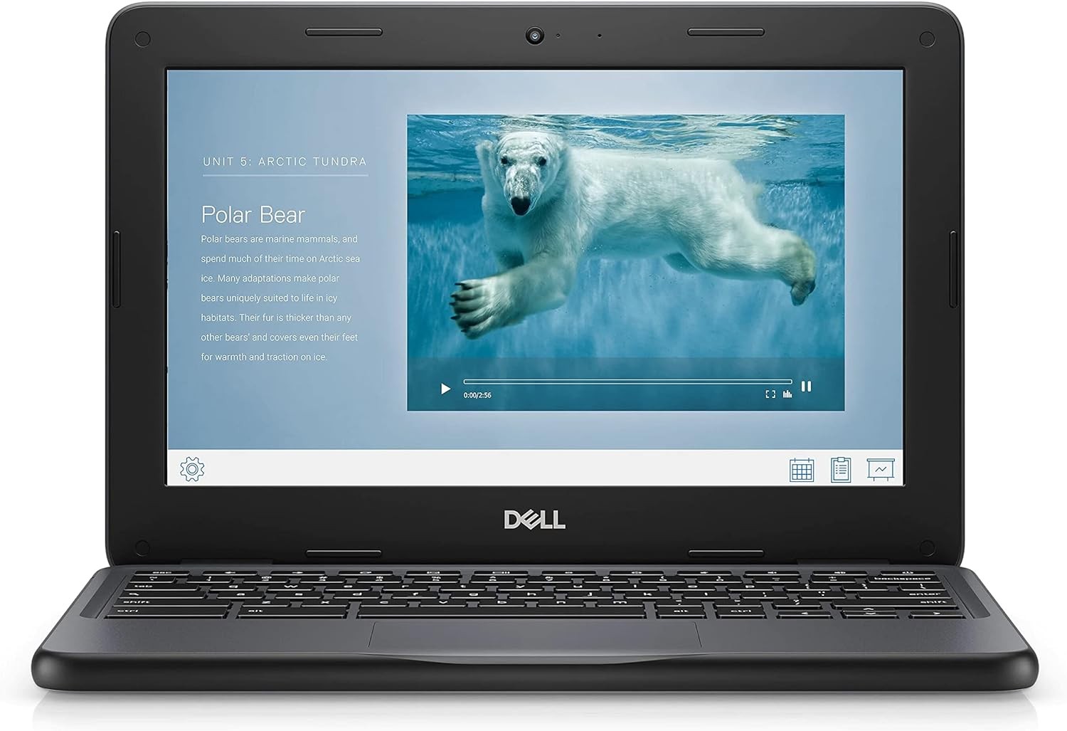 Dell Chromebook 11 3100 11.6″” Touchscreen Chromebook – HD – 1366 x 768 –