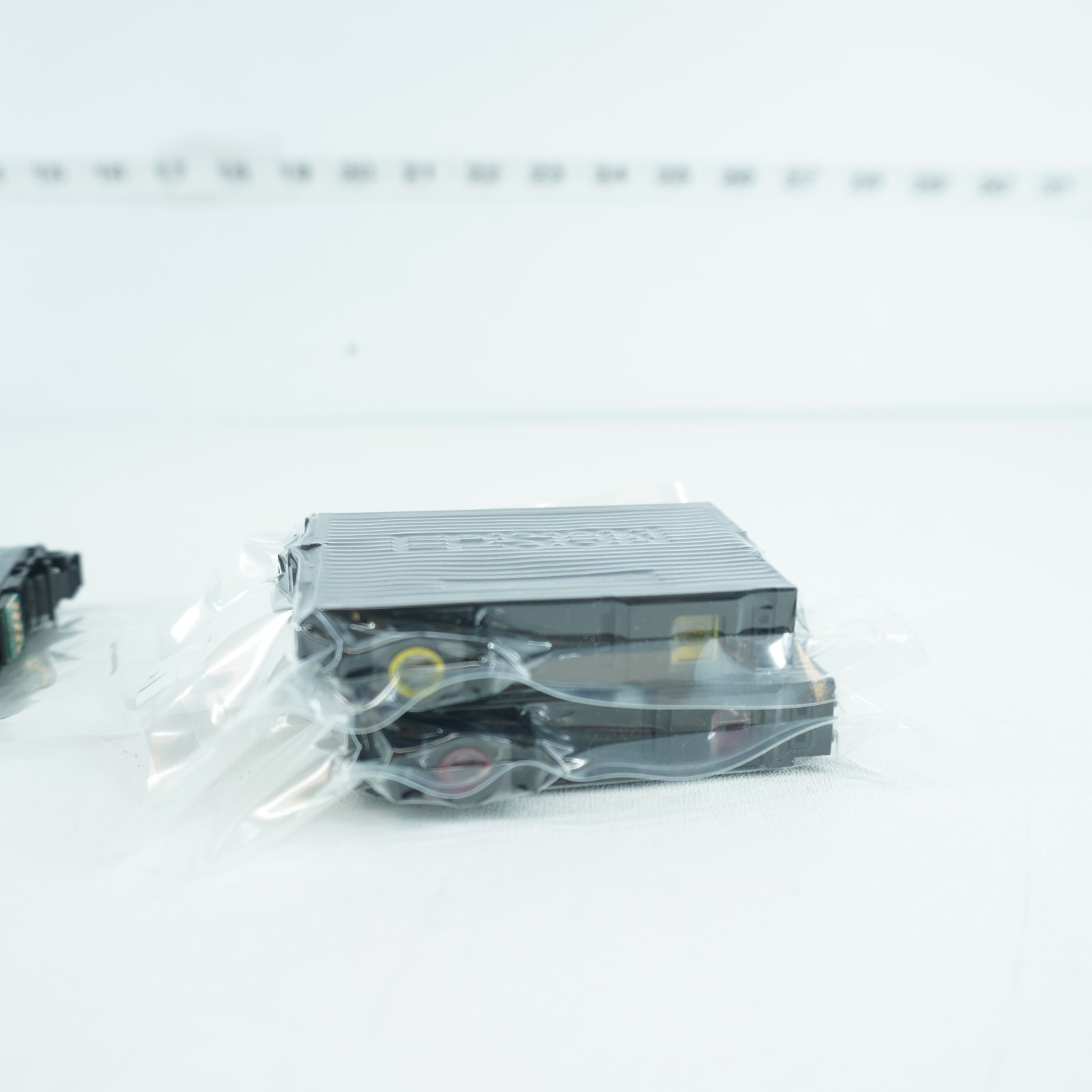 EPSON 288 DURABRITE ULTRA INK STANDARD CAPACITY BLACK DUAL CARTRIDGE EXP.11/2024