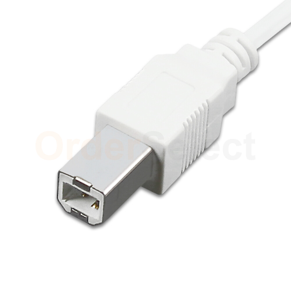 HIGH QUALITY 10 FT USB 2.0 A TO B WHITE CABLE STANDARD USB PRINTER CABLE 10 FT