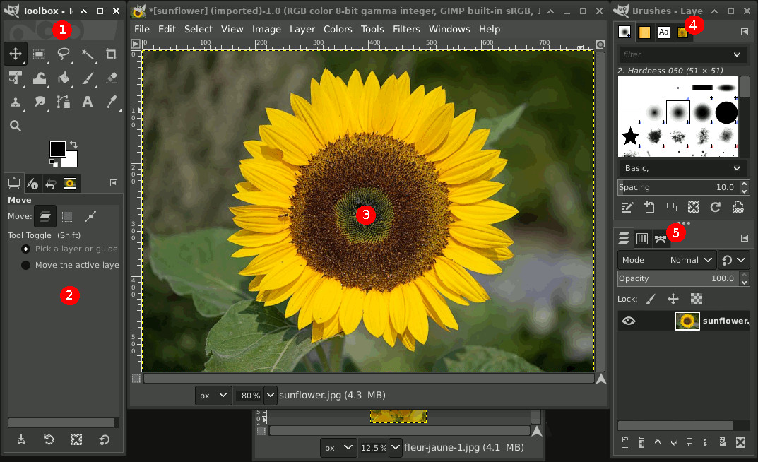 Ultimate Photo Editing Suite for Windows | Digital Image Editor Software