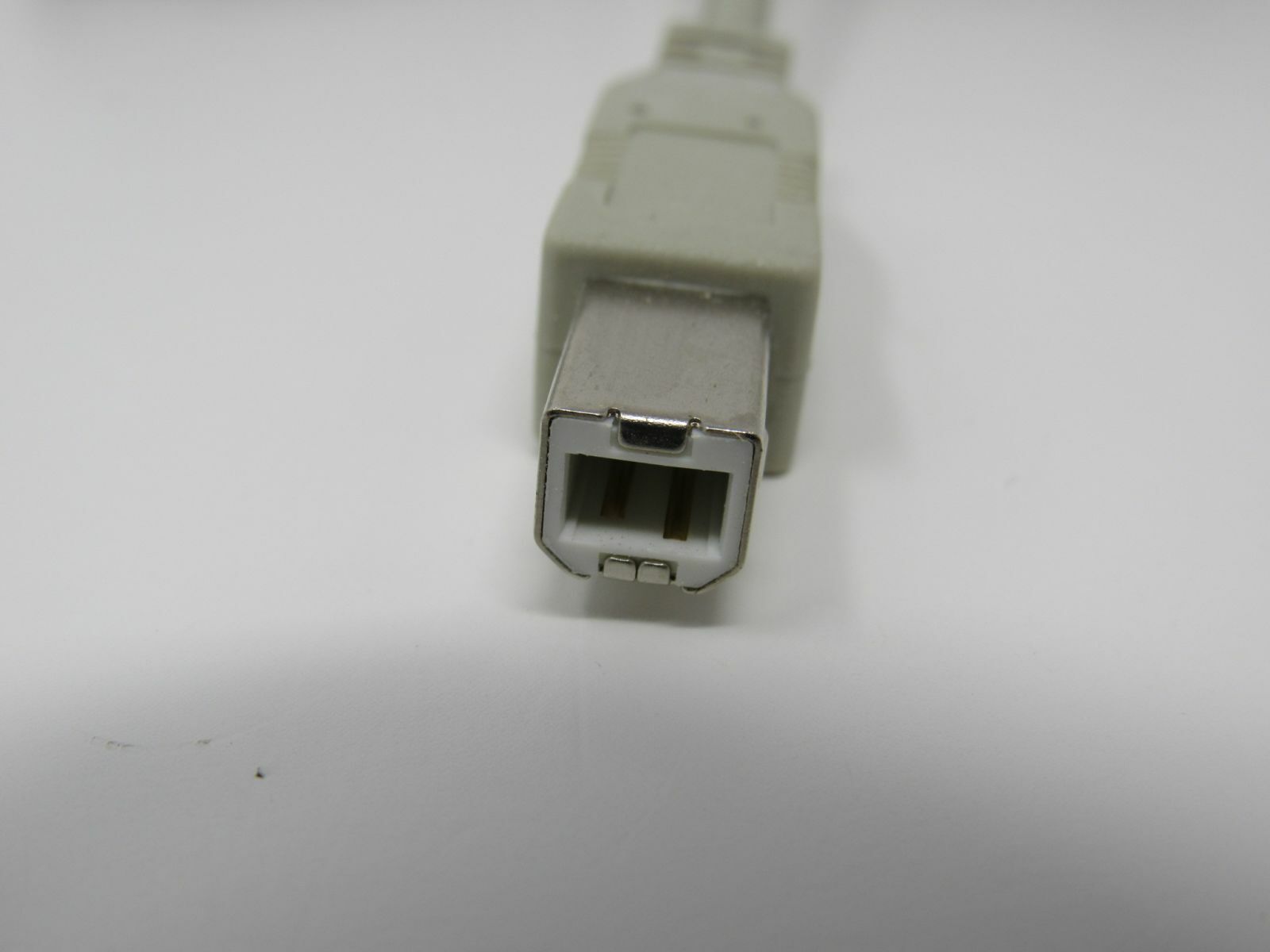 Standard USB A Plug to USB B Plug Cable 55 Inches Male