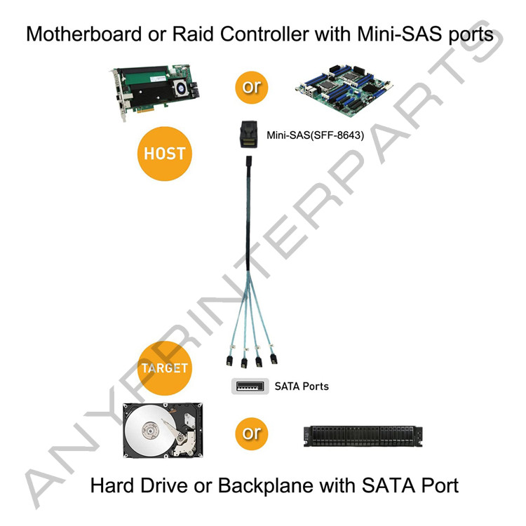 Internal HDD Mini SAS Cable SFF-8643 To 4 SATA Connect to Hard Drive 0.5 or 1M