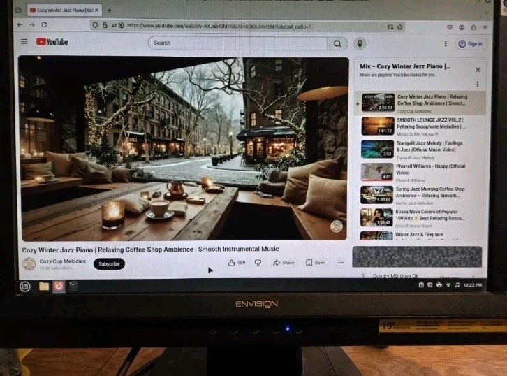 ENVISION PERIPHERALS G917W1 LCD WIDESCREEN CPU/GAME BLACK 19″ MONITOR + HOOKUPS!