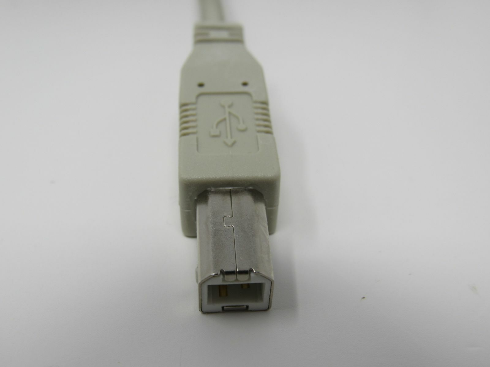 Standard USB A Plug to USB B Plug Cable 55 Inches Male