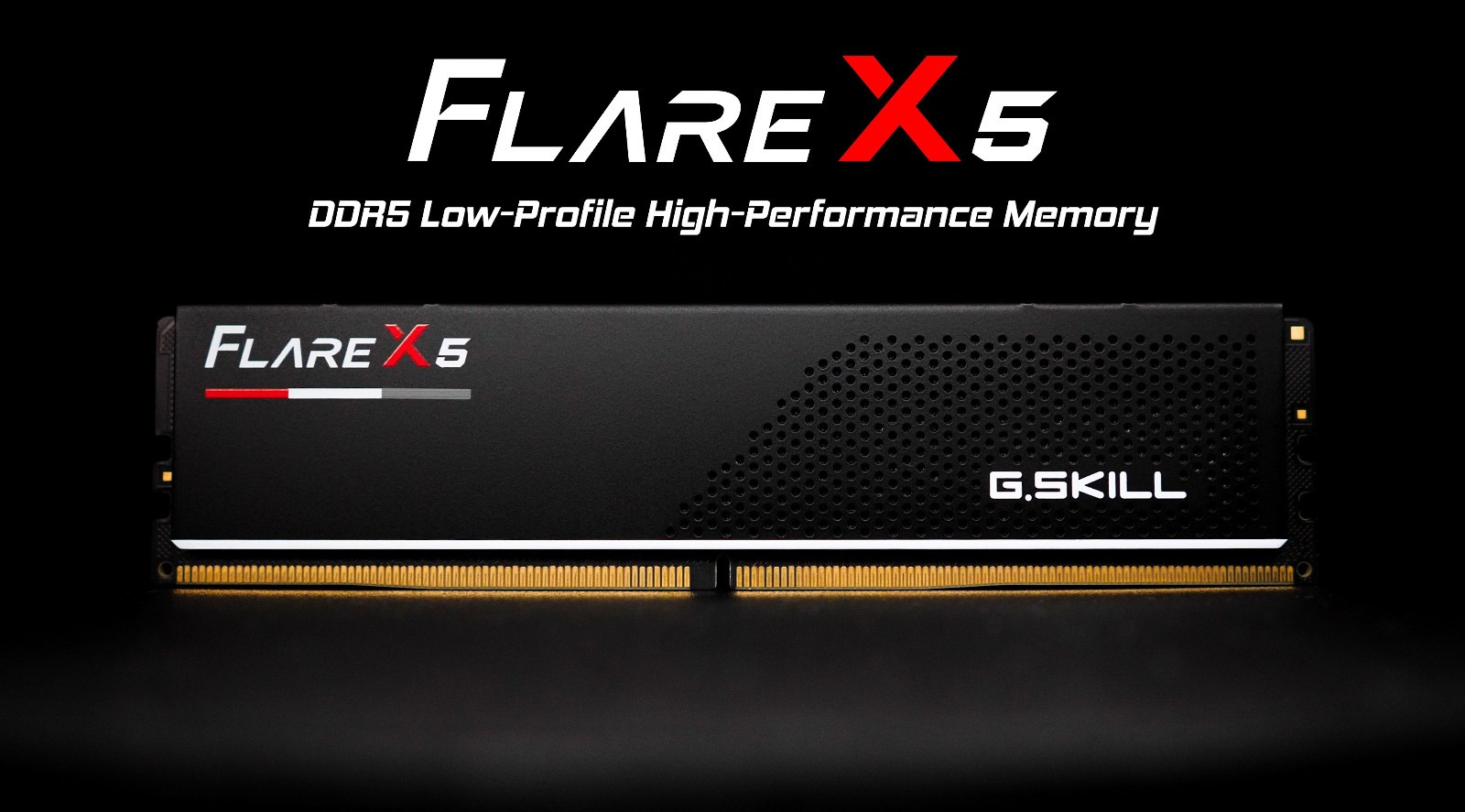 G.SKILL Flare X5 16GB (1 x 16GB) DDR5-6000 Cl36 RAM