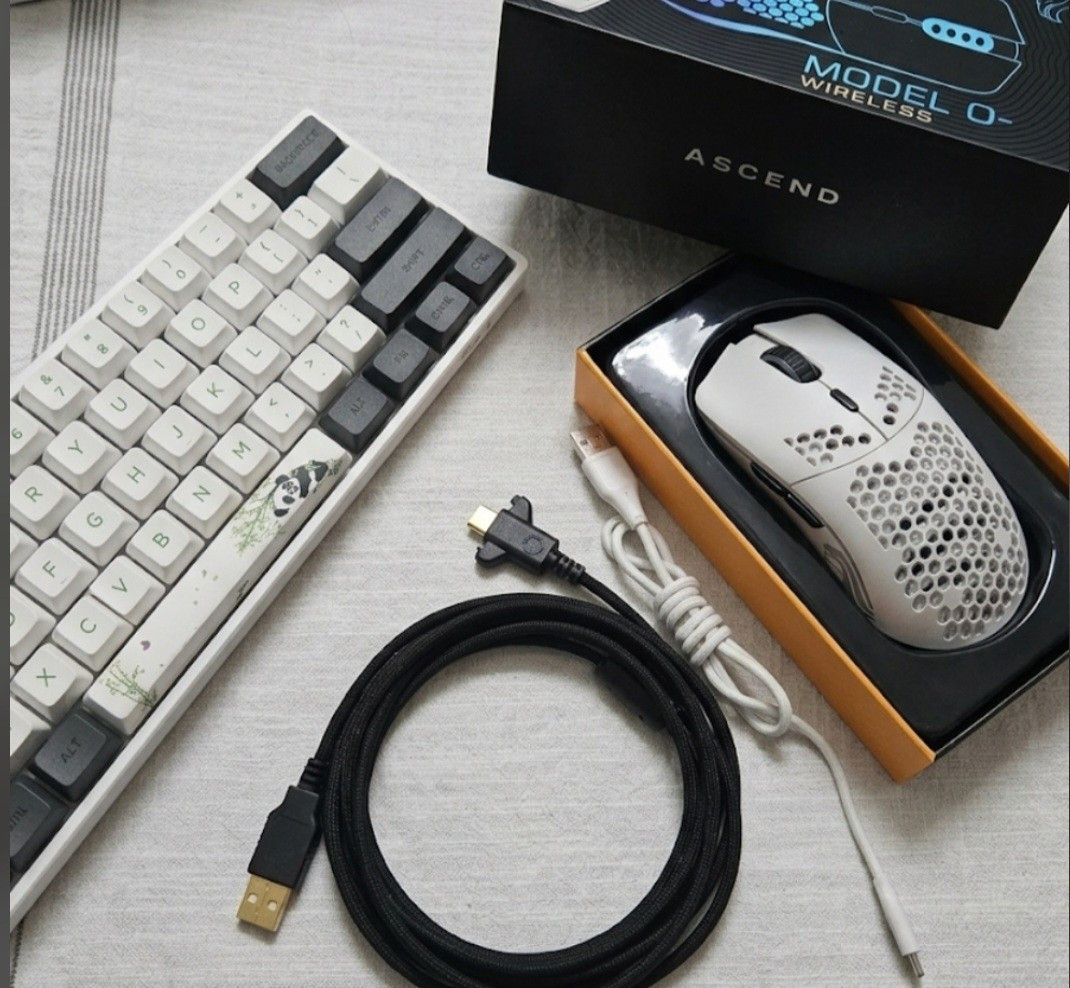 Skyloong SK61 Keyboard Panda Glorious Model O Minus Wireless Gaming Mouse Bundle
