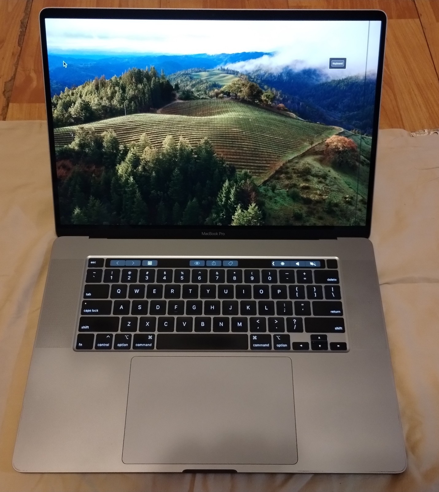 APPLE MACBOOK PRO 16″/grey/8-CORE, 2.4 i9 9980HK/32GBram 1TBssd -works, 4 Issues