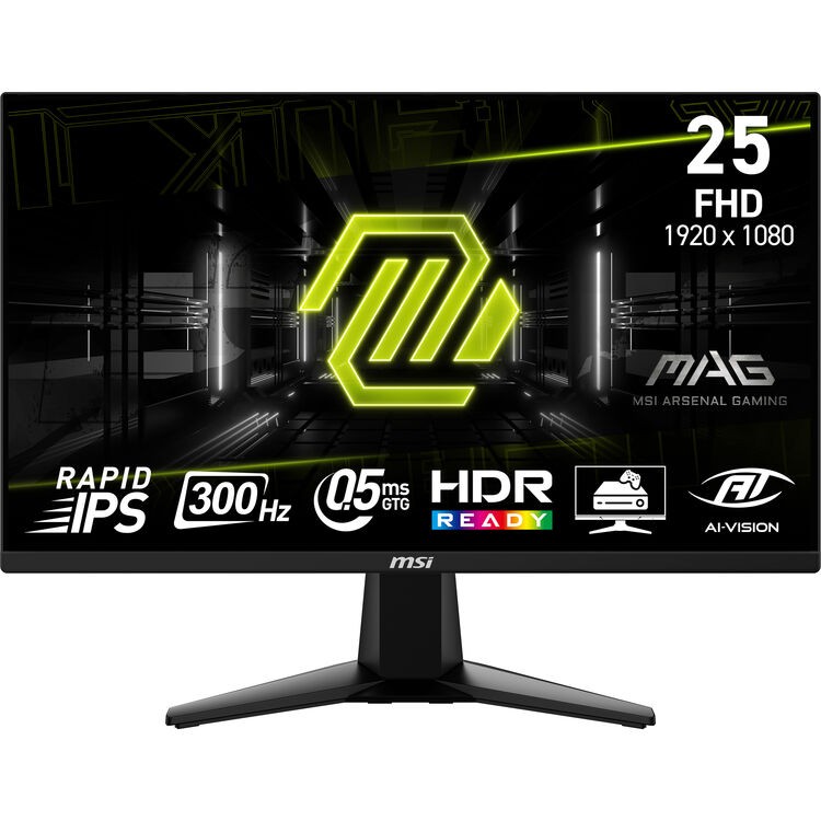 MSI MAG 255XF 24.5″ IPS Full HD 300 Hz Gaming Monitor, 0.5ms, HDR Ready, Tilt